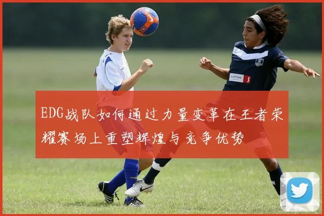 EDG战队如何通过力量变革在王者荣耀赛场上重塑辉煌与竞争优势